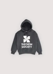 TNS_Logo_Hood_sweathirt_Grijs