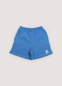 TNS_Logo_Short_Iris_Whisper_Blauw