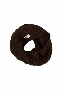 Wintery_Copper_Brown_Bruin